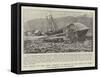 The Effect of the Gale, Wrecks at Wemyss on the Firth of Forth-null-Framed Stretched Canvas