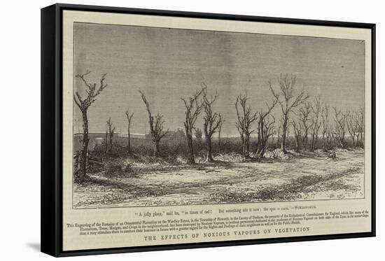 The Effects of Noxious Vapours on Vegetation-null-Framed Stretched Canvas