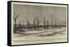 The Effects of Noxious Vapours on Vegetation-null-Framed Stretched Canvas