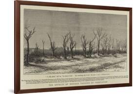 The Effects of Noxious Vapours on Vegetation-null-Framed Giclee Print