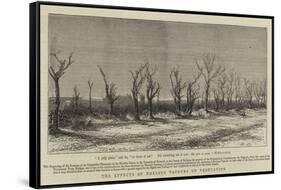 The Effects of Noxious Vapours on Vegetation-null-Framed Stretched Canvas