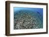 The Effects of Reef Bombing by Dynamite Fishermen, Komodo National Park, Indonesia-Stocktrek Images-Framed Photographic Print