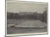 The Egyptian Army, an Infantry Battalion on Parade-null-Mounted Giclee Print