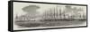 The Egyptian Fleet in the Harbour of Alexandria-null-Framed Stretched Canvas