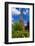 The Eiffel Tower and Rose Garden, Paris, France-Russ Bishop-Framed Photographic Print