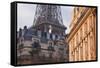 The Eiffel Tower and Typical Parisian Apartments, Paris, France, Europe-Julian Elliott-Framed Stretched Canvas