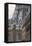 The Eiffel Tower and Typical Parisian Apartments, Paris, France, Europe-Julian Elliott-Framed Stretched Canvas