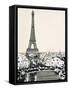 The Eiffel Tower Dominates the Paris Skyline-null-Framed Stretched Canvas