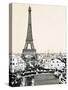 The Eiffel Tower Dominates the Paris Skyline-null-Stretched Canvas