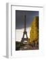 The Eiffel Tower from Champ De Mars, Paris, France, Europe-Julian Elliott-Framed Photographic Print