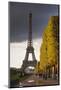 The Eiffel Tower from Champ De Mars, Paris, France, Europe-Julian Elliott-Mounted Photographic Print