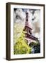 The Eiffel Tower IV - In the Style of Oil Painting-Philippe Hugonnard-Framed Giclee Print