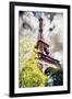 The Eiffel Tower IV - In the Style of Oil Painting-Philippe Hugonnard-Framed Giclee Print