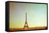 The Eiffel Tower (Nickname La Dame De Fer, the Iron Lady),The Tower Has Become the Most Prominent S-ilolab-Framed Stretched Canvas