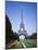 The Eiffel Tower, Paris, France-Robert Harding-Mounted Photographic Print