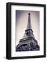 The Eiffel Tower, Paris, France-Russ Bishop-Framed Photographic Print