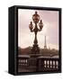 The Eiffel Tower Seen from the Pont Alexandre III at Dusk, Paris, France-Nigel Francis-Framed Stretched Canvas