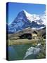 The Eiger, Kleine Scheidegg, Bernese Oberland, Swiss Alps, Switzerland-Hans Peter Merten-Stretched Canvas