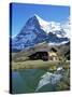 The Eiger, Kleine Scheidegg, Bernese Oberland, Swiss Alps, Switzerland-Hans Peter Merten-Stretched Canvas