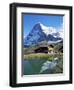 The Eiger, Kleine Scheidegg, Bernese Oberland, Swiss Alps, Switzerland-Hans Peter Merten-Framed Photographic Print