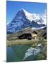 The Eiger, Kleine Scheidegg, Bernese Oberland, Swiss Alps, Switzerland-Hans Peter Merten-Mounted Photographic Print