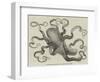 The Eight-Armed Cuttle-Fish in the Crystal Palace Aquarium-null-Framed Giclee Print