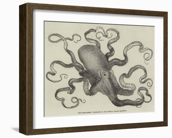 The Eight-Armed Cuttle-Fish in the Crystal Palace Aquarium-null-Framed Giclee Print