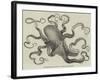 The Eight-Armed Cuttle-Fish in the Crystal Palace Aquarium-null-Framed Giclee Print