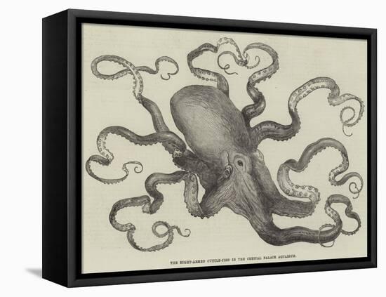 The Eight-Armed Cuttle-Fish in the Crystal Palace Aquarium-null-Framed Stretched Canvas