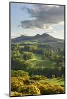 The Eildon Hills in the Scottish Borders, photographed from Scott's View at Bemersyde, Scotland-Stephen Spraggon-Mounted Photographic Print