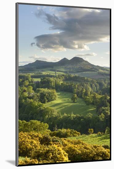 The Eildon Hills in the Scottish Borders, photographed from Scott's View at Bemersyde, Scotland-Stephen Spraggon-Mounted Photographic Print