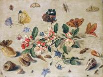 A Dragon-Fly, Two Moths, a Spider and Some Beetles, with Wild Strawberries, 17th Century-Jan Van, The Elder Kessel-Giclee Print