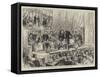 The Election Campaign, Mr Gladstone at the Albert Hall, Edinburgh-null-Framed Stretched Canvas