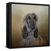 The Elegant Afghan Hound-Jai Johnson-Framed Stretched Canvas