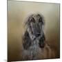 The Elegant Afghan Hound-Jai Johnson-Mounted Giclee Print