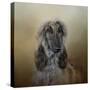 The Elegant Afghan Hound-Jai Johnson-Stretched Canvas