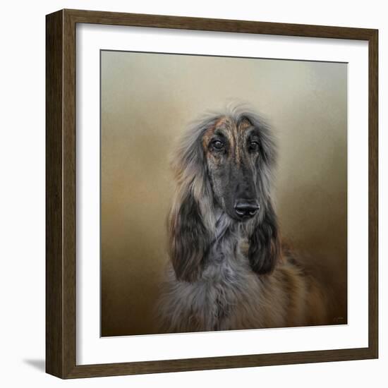 The Elegant Afghan Hound-Jai Johnson-Framed Giclee Print