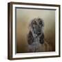 The Elegant Afghan Hound-Jai Johnson-Framed Giclee Print