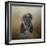 The Elegant Afghan Hound-Jai Johnson-Framed Giclee Print