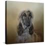 The Elegant Afghan Hound-Jai Johnson-Stretched Canvas