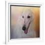 The Elegant Borzoi-Jai Johnson-Framed Giclee Print