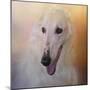 The Elegant Borzoi-Jai Johnson-Mounted Giclee Print