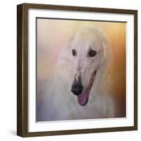 The Elegant Borzoi-Jai Johnson-Framed Giclee Print