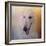 The Elegant Borzoi-Jai Johnson-Framed Giclee Print