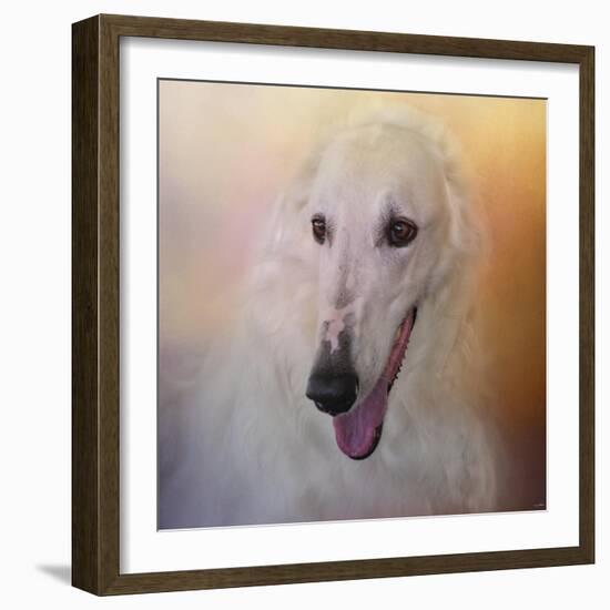 The Elegant Borzoi-Jai Johnson-Framed Giclee Print