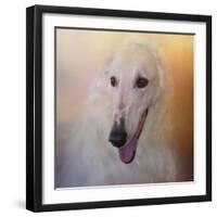 The Elegant Borzoi-Jai Johnson-Framed Giclee Print