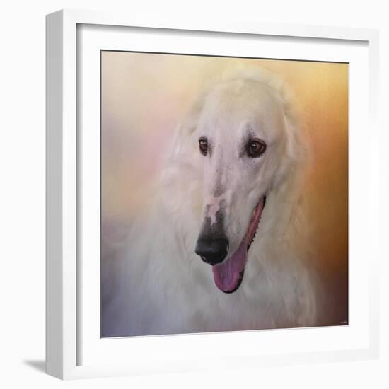 The Elegant Borzoi-Jai Johnson-Framed Giclee Print