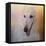 The Elegant Borzoi-Jai Johnson-Framed Stretched Canvas