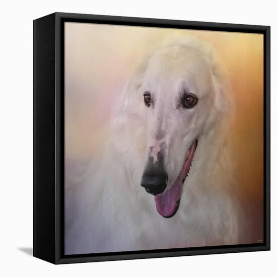 The Elegant Borzoi-Jai Johnson-Framed Stretched Canvas