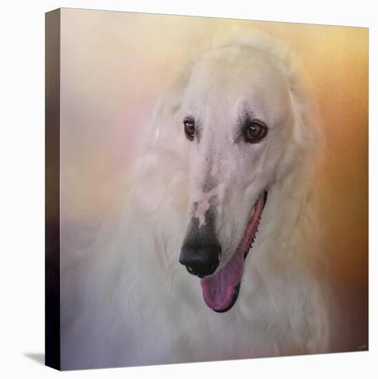 The Elegant Borzoi-Jai Johnson-Stretched Canvas